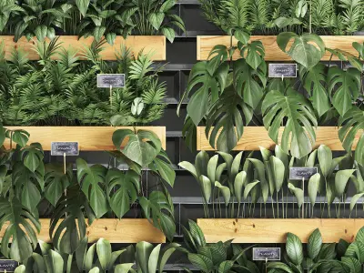 wooden flower boxes  vertical garden 39 3D model