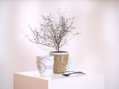 Decorative tree in a pot HG2 3D model