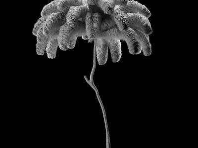 Feather decoration 3D model