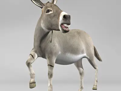 Donkey 3D model