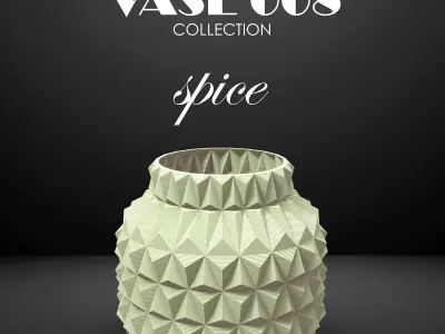 vase 8 3D print model