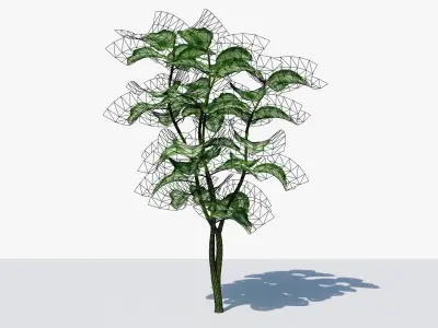 Tropical Plant Low-poly 3D model