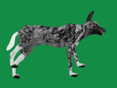 African Wild Dog Low-poly 3D model