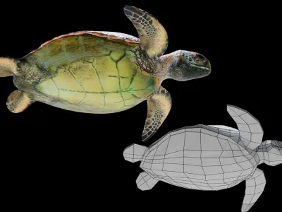 Animated Sea Turtle Low-poly 3D model