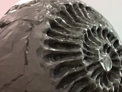 Fossil Series - Spiral 3D print model