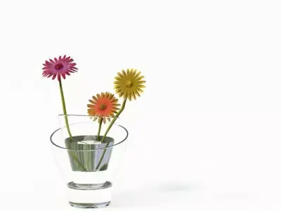 Glass Flower Vase 3D model
