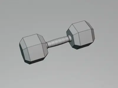 5 Kg Dumbbell 3D model