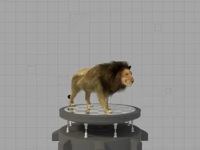 Lion Rigged 3D model