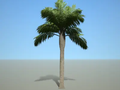 Palm Tree 3D model