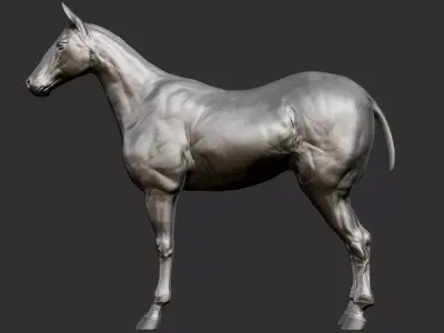 Realistic Horse Hi-Rez base-mesh 3D model 3D model