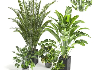 Collaction Indoor plant vol 45-02 3D model