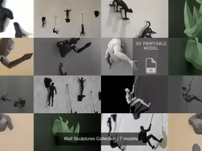 Wall Sculptures Collection
