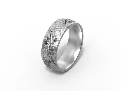 Ring Noise  3D print model