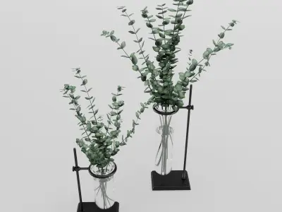 Eucalyptus In Laboratorium Jar 3D model