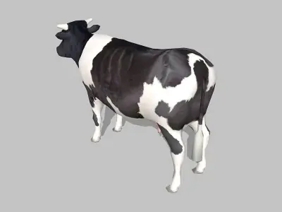 cow holstein Low-poly 3D model