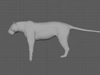 Tiger with bones and UVs 3D model