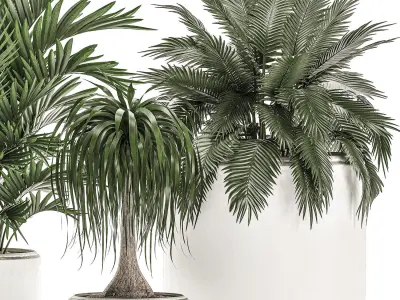 Plants in a white flowerpot for decor and interior design 503 3D model