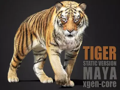 Tiger 2025 static Xgen Core 3D model