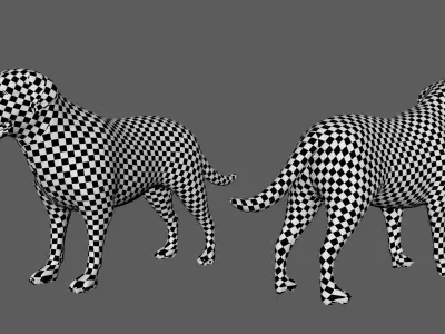 Labrador Dog BaseMesh  Low-poly 3D model
