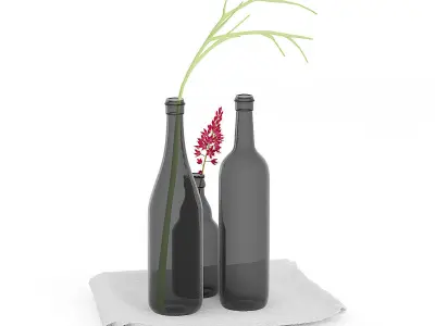 Towels and Black Bottles 3D model