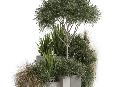 Plants collection 771 3D model