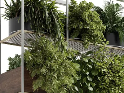 Hanging plants - Rectangle pot - indoor plant set 500 3D model