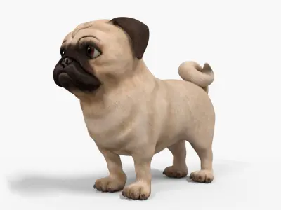 Pug Dog Toon Rigged Low-poly 3D model