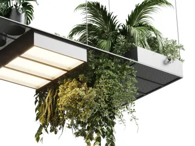 pot light pendant plant light hanging 10 Low-poly 3D model