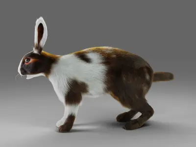 Fur Rabbit Gray V04 Rigged Low-poly 3D model