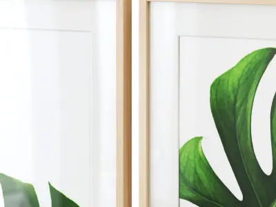 Monstera leaves gallery wall 3D model