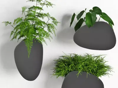 Houseplant 69 3D model