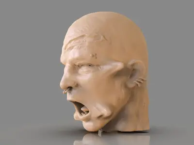 Prisioner Tortured Head 3D print model