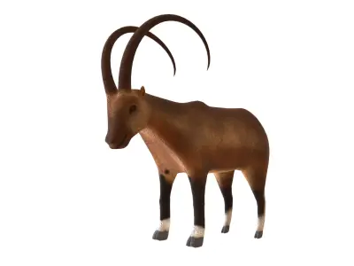 IBEX- GOAT  3D model