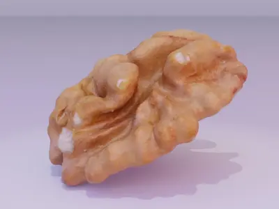 Walnut half kernel 01 high-poly 3D model