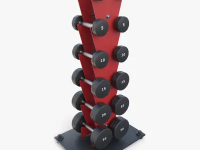 Vertical dumbbell rack 3D model