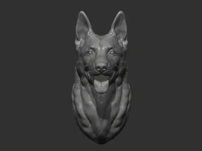 Belgian Shepherd Malinois bust 3D print model