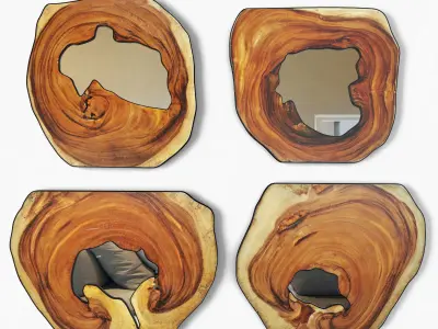 Organic Monkey Pod Mirrors 4 3D model