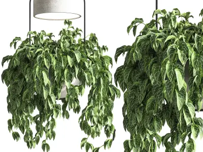 Indoor Plants Hanging Pot Concrete Vase 02 3D model