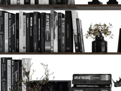 Black Decorative set on shelves 3D model
