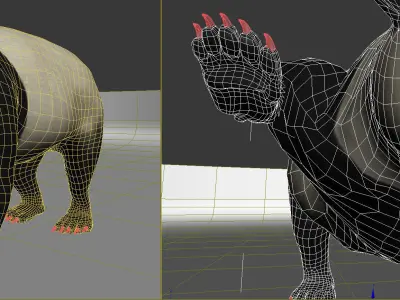 Panda A bear 3D model