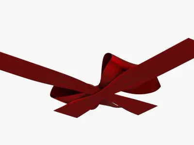 Wrapping bow 04 3D model