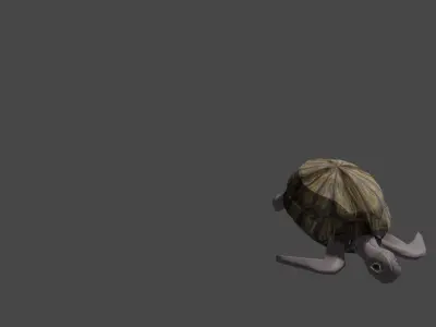 Sea turtle  Low-poly 3D model