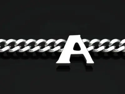 Necklace-Bracelet Silver and Gold Buckle 3D print model