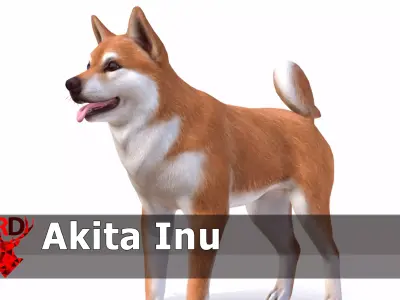 Dog - Akita Inu Low-poly 3D model