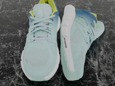 SALOMON 3D SHOES -PREDICT 2 Low-poly 3D model