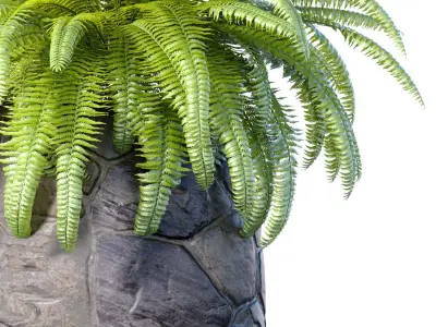 Decorative fern in a modern stone vase flowerpot pot  decoration 3D model