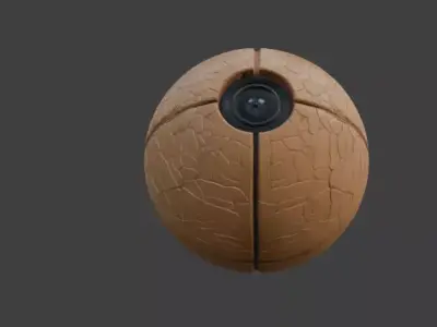 Walnut Shell Camera Two Model Pack Decorative Tech 3D Model 3D model