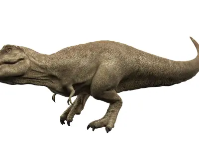 Tyrannosaurus rex 3D model 3D model