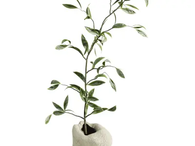 bouquet 3D model 4
