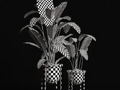 Houseplants banana tree 3D model